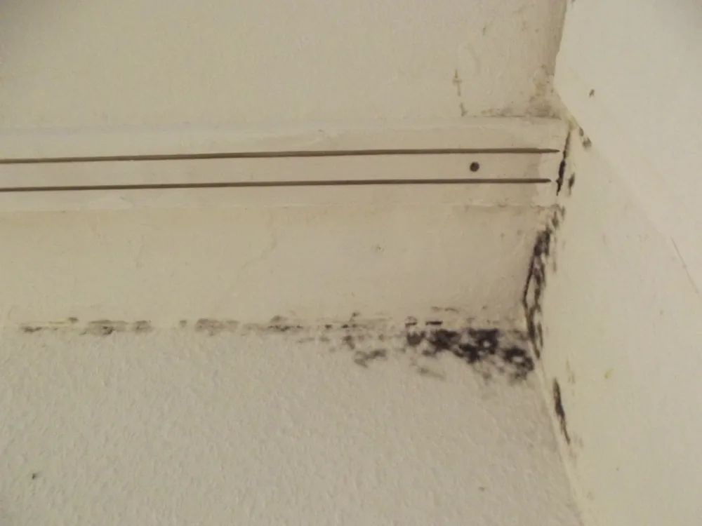 Technician in protective gear removing a mold-damaged wall in a Kennedale home